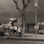 Wilshire & Hauser
