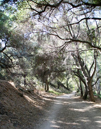 Walk
